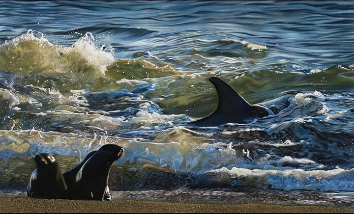 Sunlit Orca