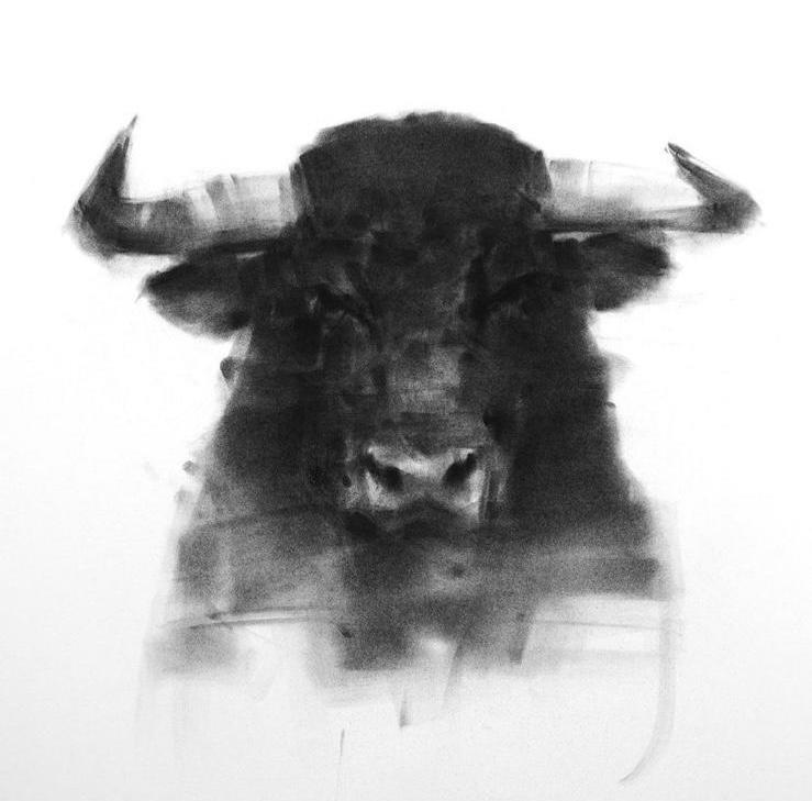 The Bulls Head