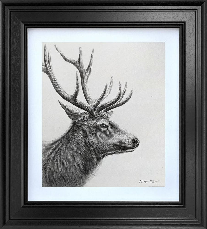 The Noble Stag - Study