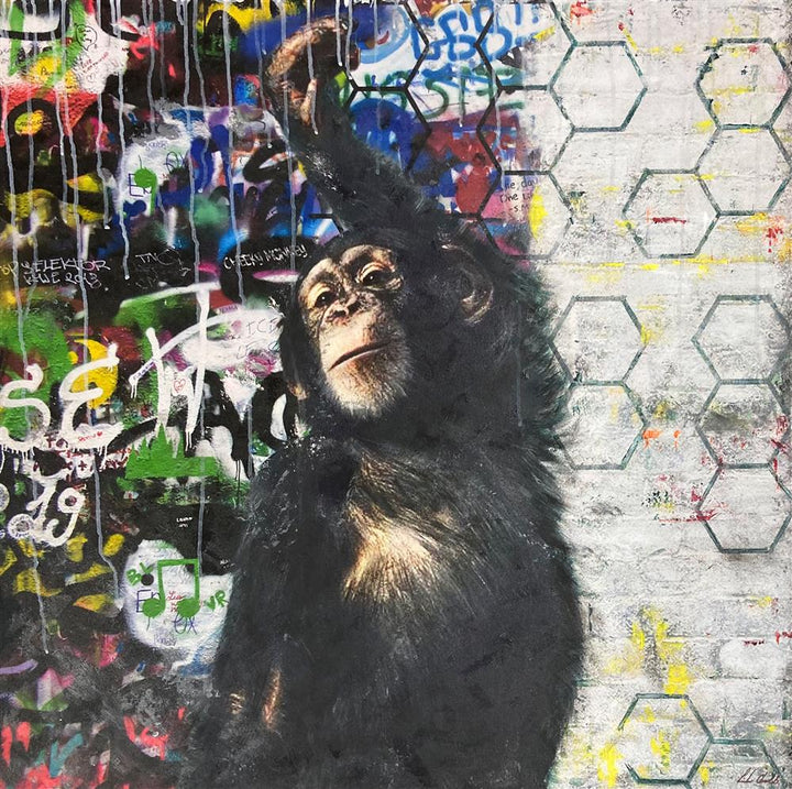 Urban Chimp